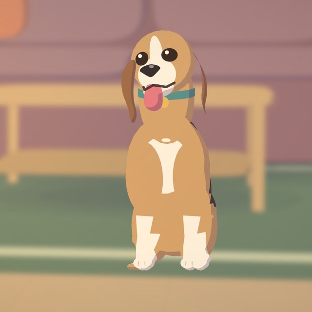 Pip, a beagle, sitting and looking at us